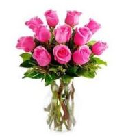 12 pink roses.jpg